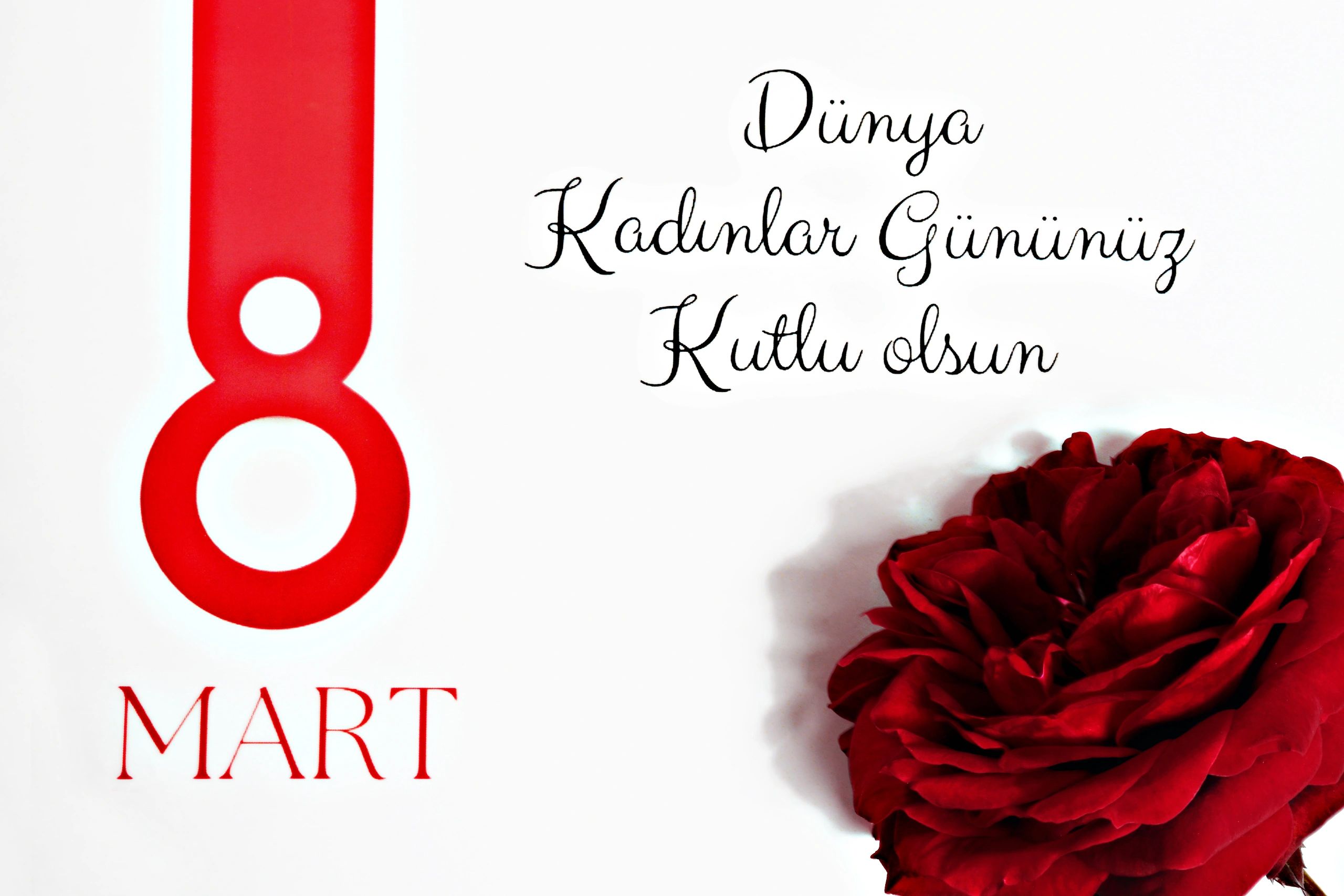 Müzeon Deneyiminden Yaratıcı Anlar